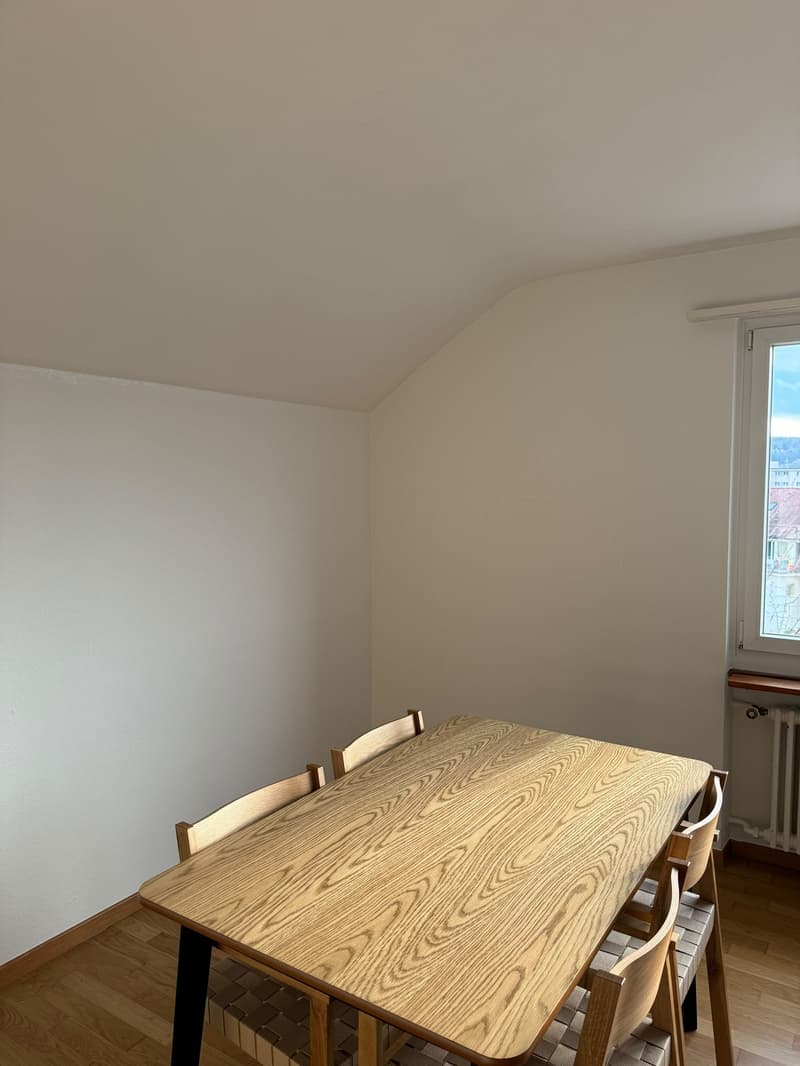 Studio Apartment (4)