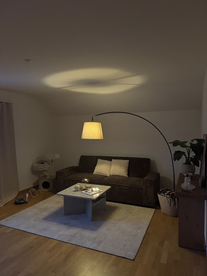 Studio Apartment (3)