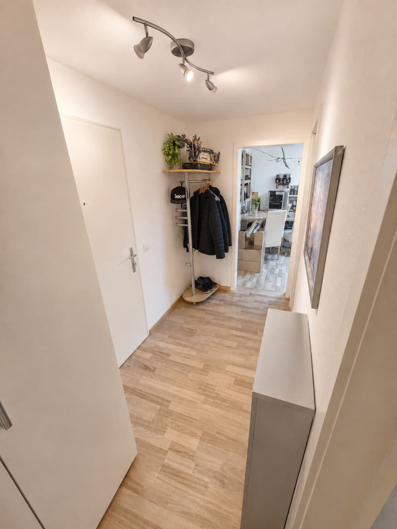 Nachmieter gesucht - helle 2.5-Zimmer-Wohnung mit Balkon in Hadlikon/Hinwil (5)