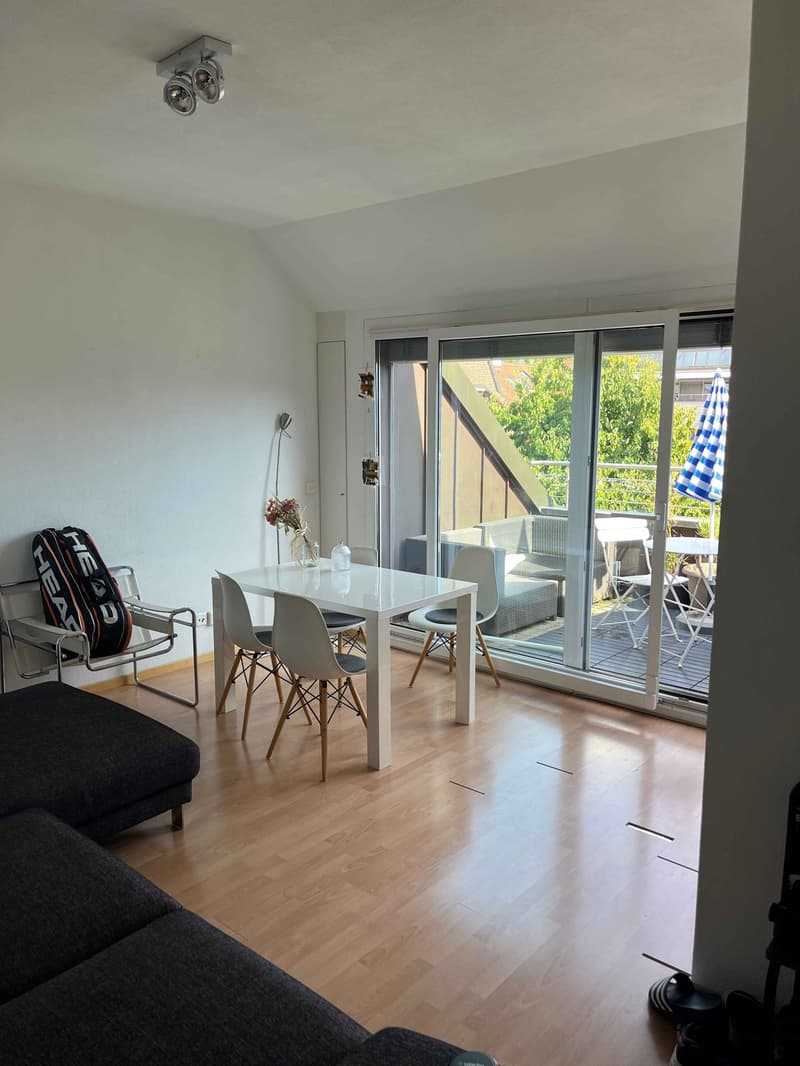 Bright 2.5-Room Top-Floor Apartment with Private Terrace near Kreuzplatz (1)