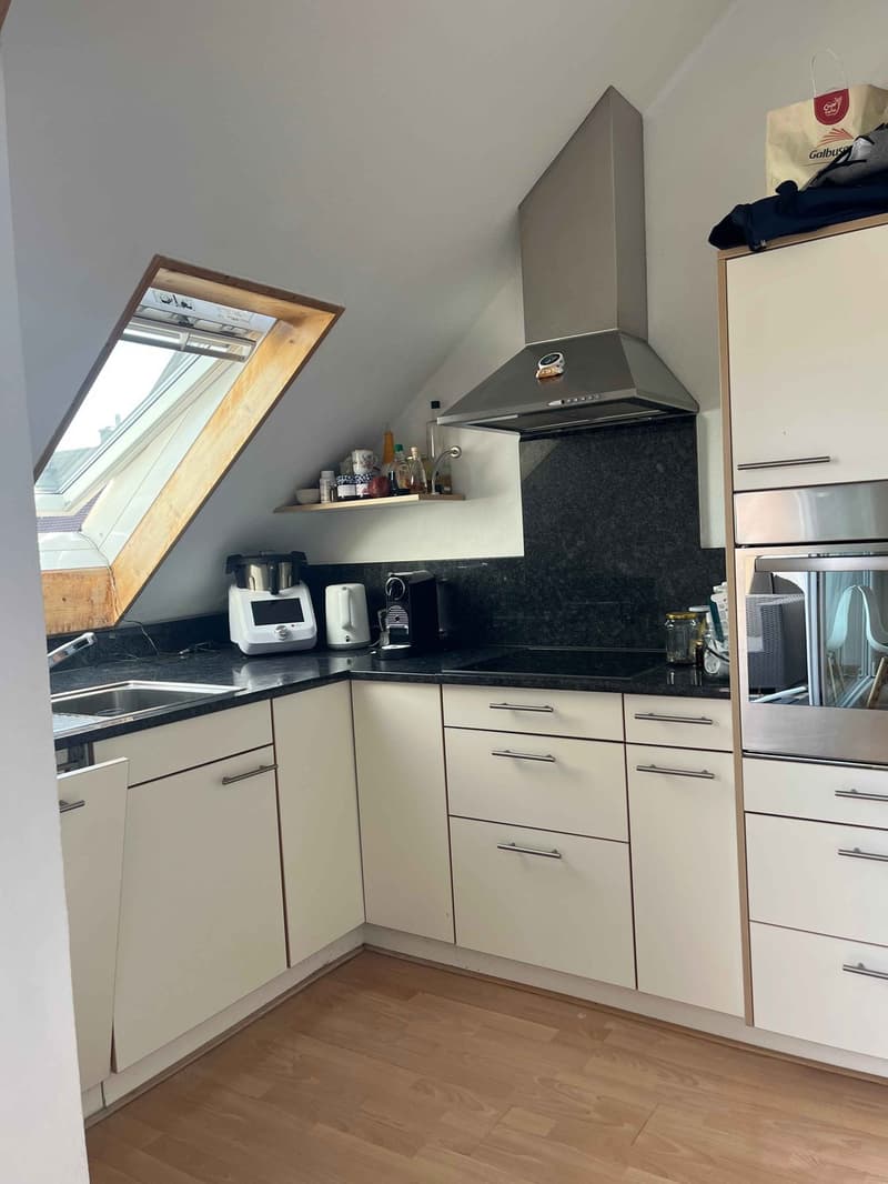 Bright 2.5-Room Top-Floor Apartment with Private Terrace near Kreuzplatz (3)