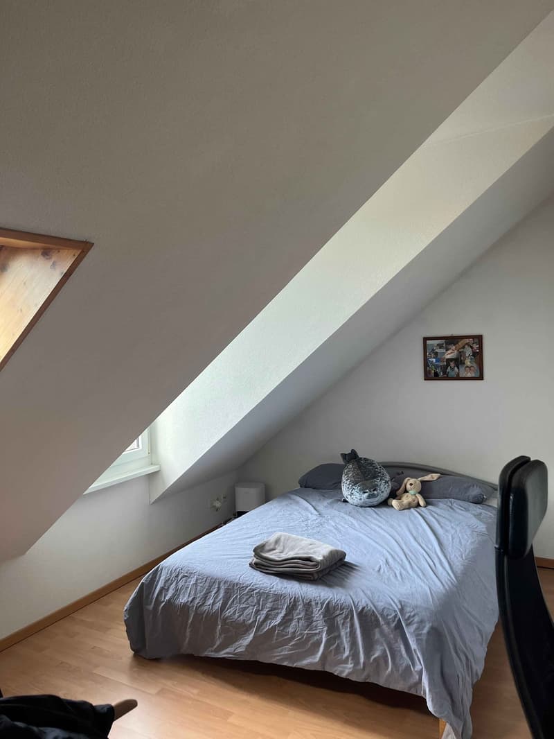 Bright 2.5-Room Top-Floor Apartment with Private Terrace near Kreuzplatz (6)