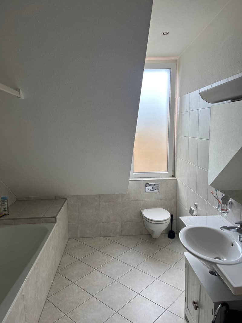 Bright 2.5-Room Top-Floor Apartment with Private Terrace near Kreuzplatz (4)