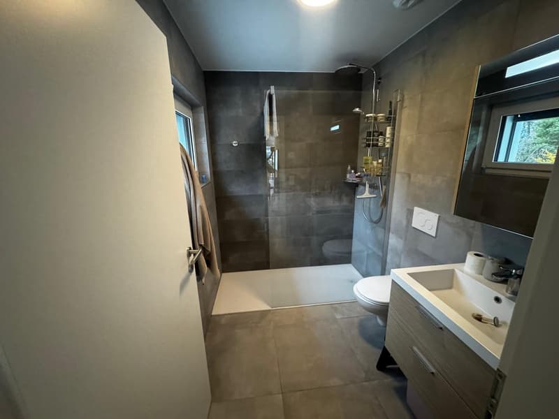 Magnifique appartement de standing (4)