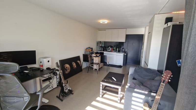 Appartamento 1 ½ locali, 8952 Schlieren (2)