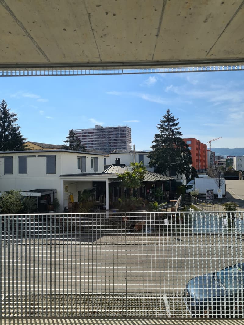 Appartamento 1 ½ locali, 8952 Schlieren (4)