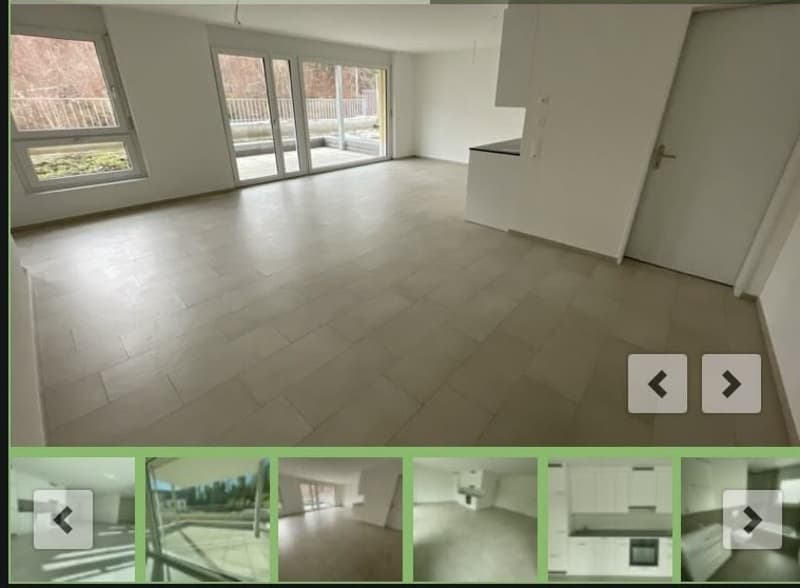 Sonnige 2.5-Zimmer-Loft-Wohnung (6)