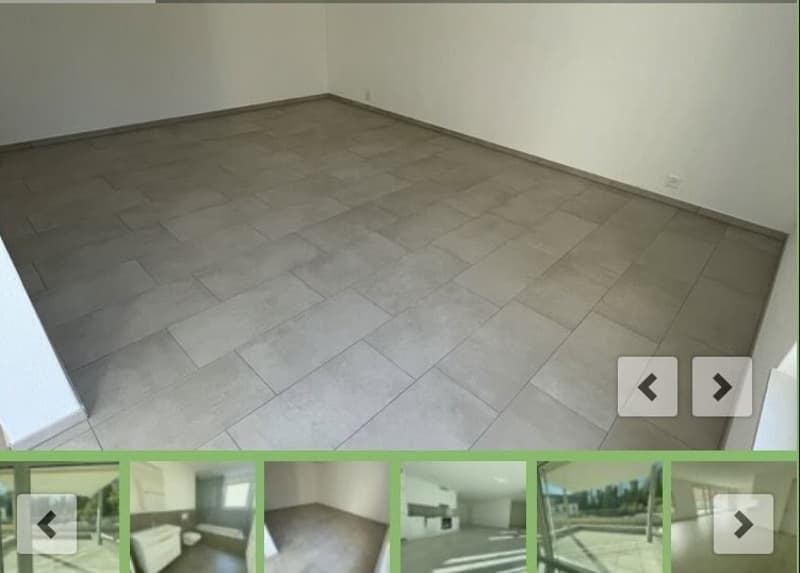 Sonnige 2.5-Zimmer-Loft-Wohnung (5)