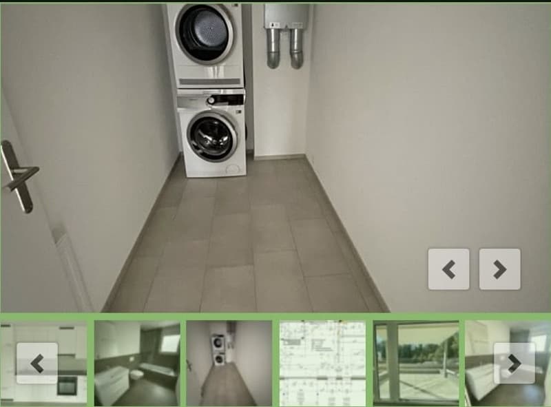 Sonnige 2.5-Zimmer-Loft-Wohnung (3)