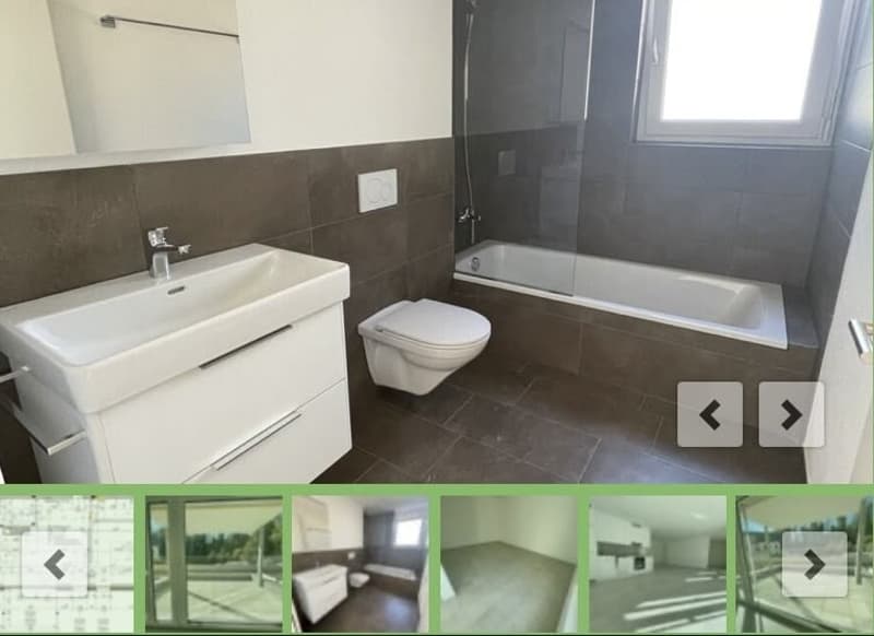 Sonnige 2.5-Zimmer-Loft-Wohnung (2)