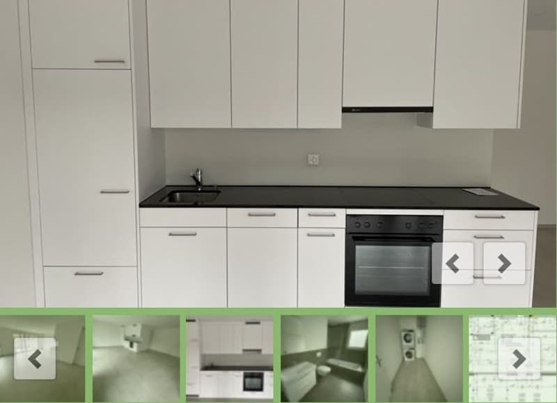 Sonnige 2.5-Zimmer-Loft-Wohnung (7)