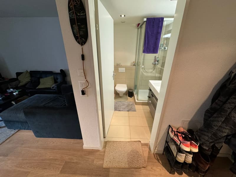 2 Zimmer-Wohnung, 8002 Zurich (6)