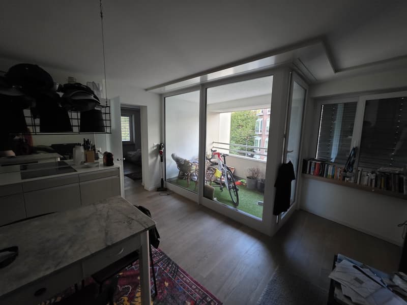 2 Zimmer-Wohnung, 8002 Zurich (2)
