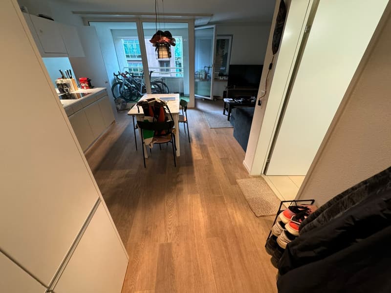 2 Zimmer-Wohnung, 8002 Zurich (3)
