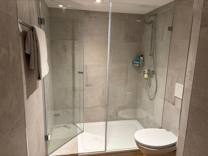 2 ½ Zimmer-Wohnung, 8640 Rapperswil (9)