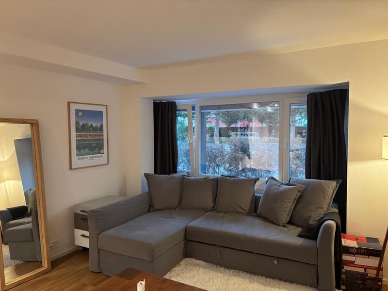 2 ½ Zimmer-Wohnung, 8640 Rapperswil (1)