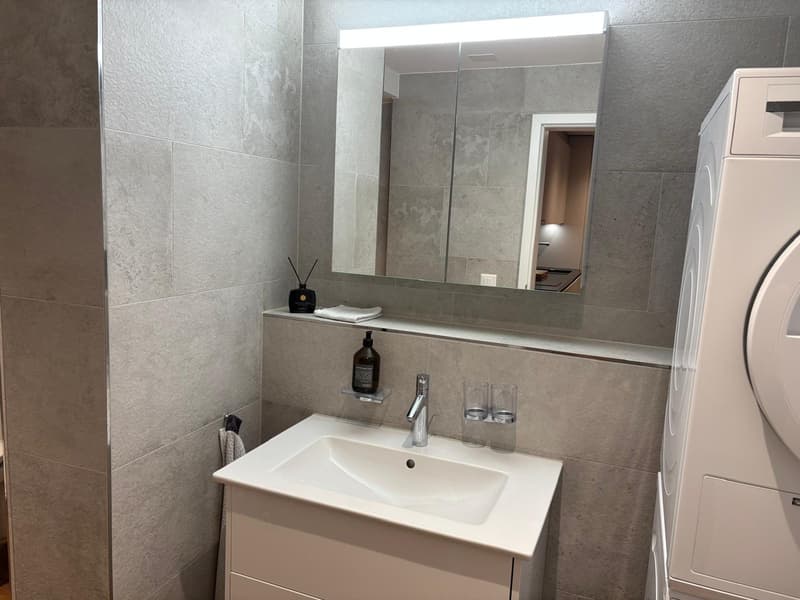 2 ½ Zimmer-Wohnung, 8640 Rapperswil (8)