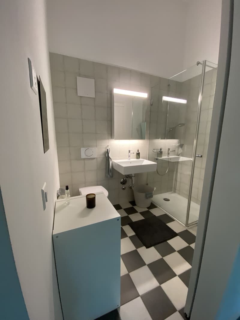 1 ½ Zimmer-Wohnung, 3008 Bern (7)