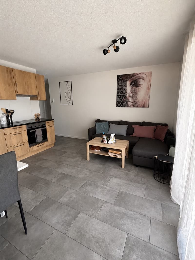 Appartement 2.5 dans un quartier calme (6)