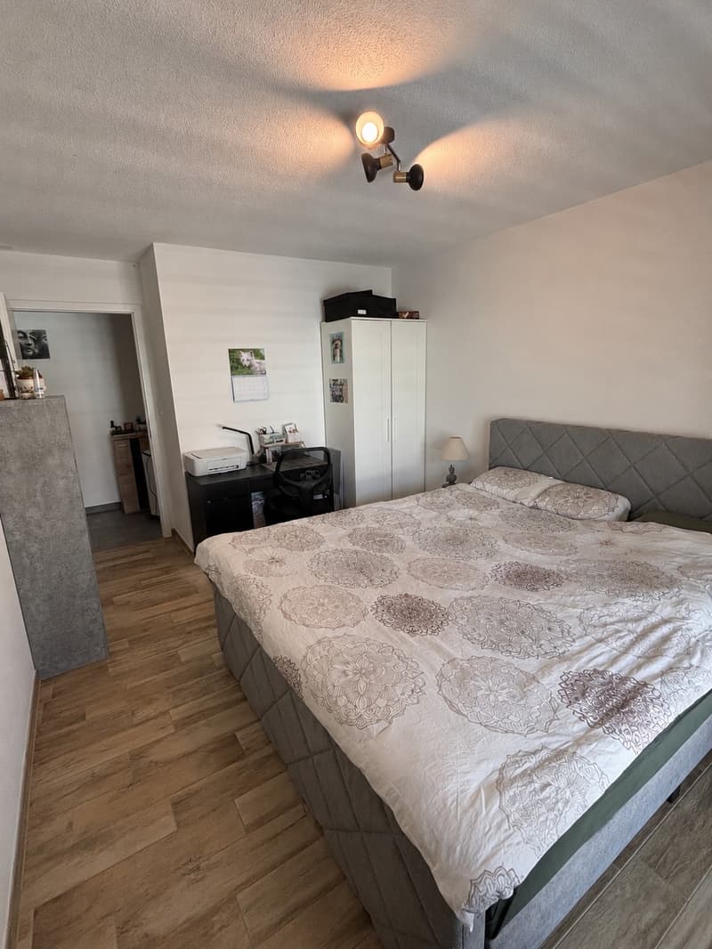 Appartement 2.5 dans un quartier calme (5)