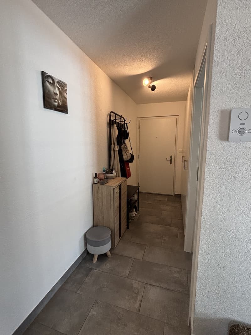Appartement 2.5 dans un quartier calme (10)