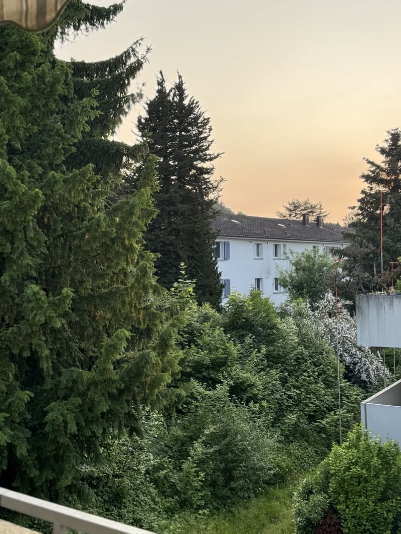 Helle, renovierte 1.5-Zimmer-Wohnung in Zürich-Affoltern (2)