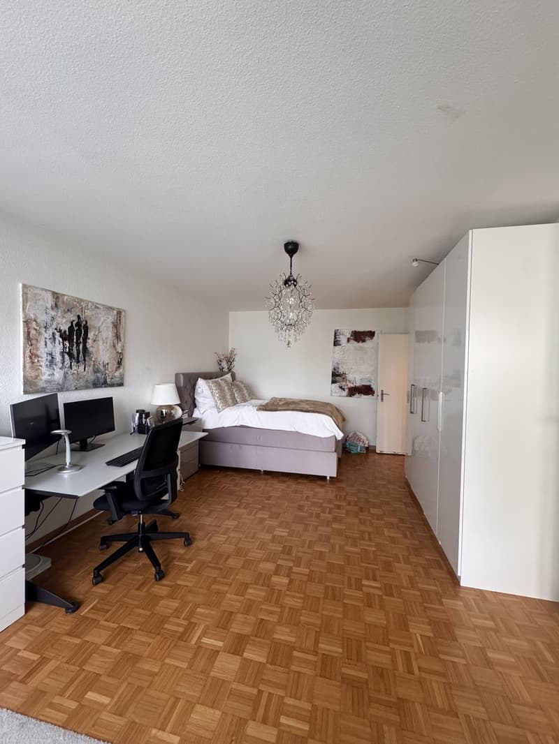 Helle, renovierte 1.5-Zimmer-Wohnung in Zürich-Affoltern (8)