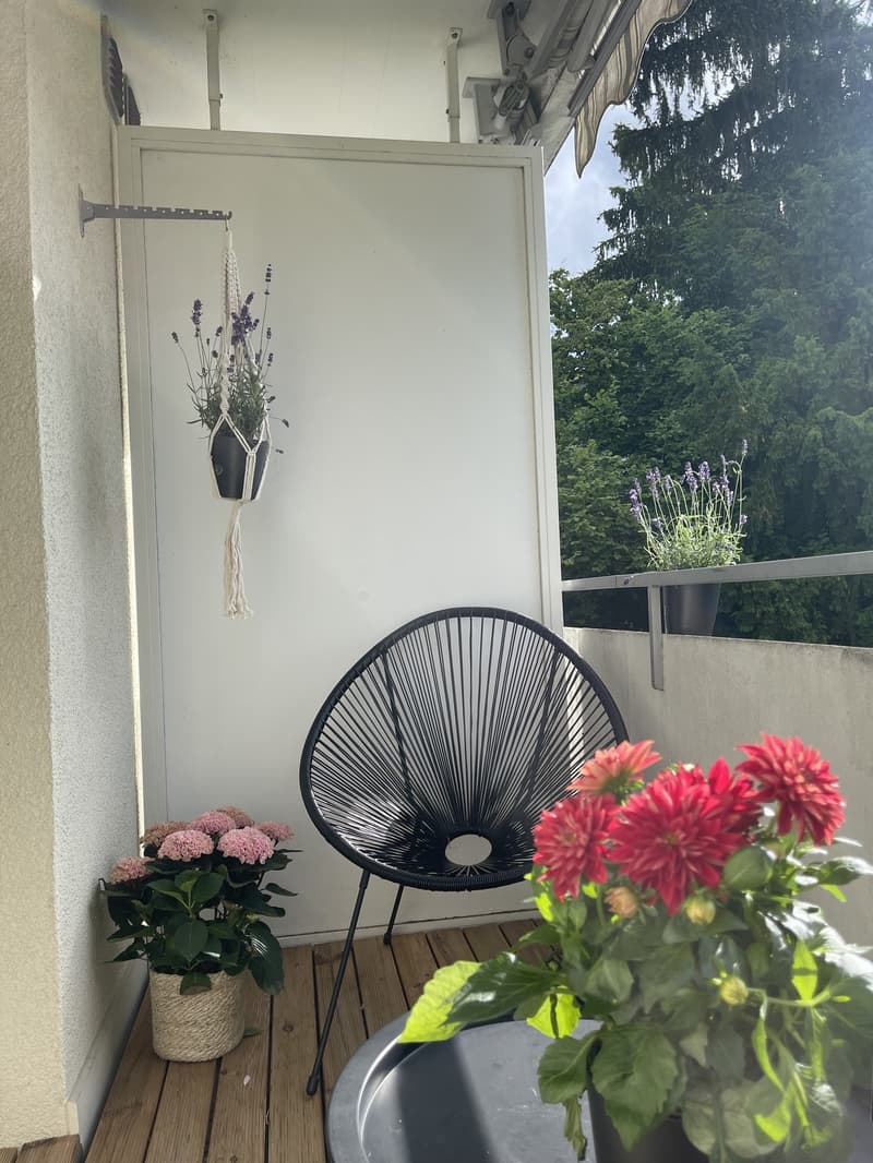 Helle, renovierte 1.5-Zimmer-Wohnung in Zürich-Affoltern (10)