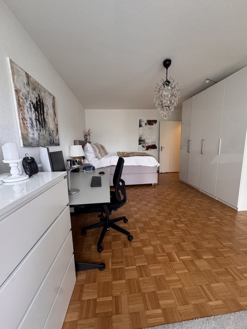 Helle, renovierte 1.5-Zimmer-Wohnung in Zürich-Affoltern (3)