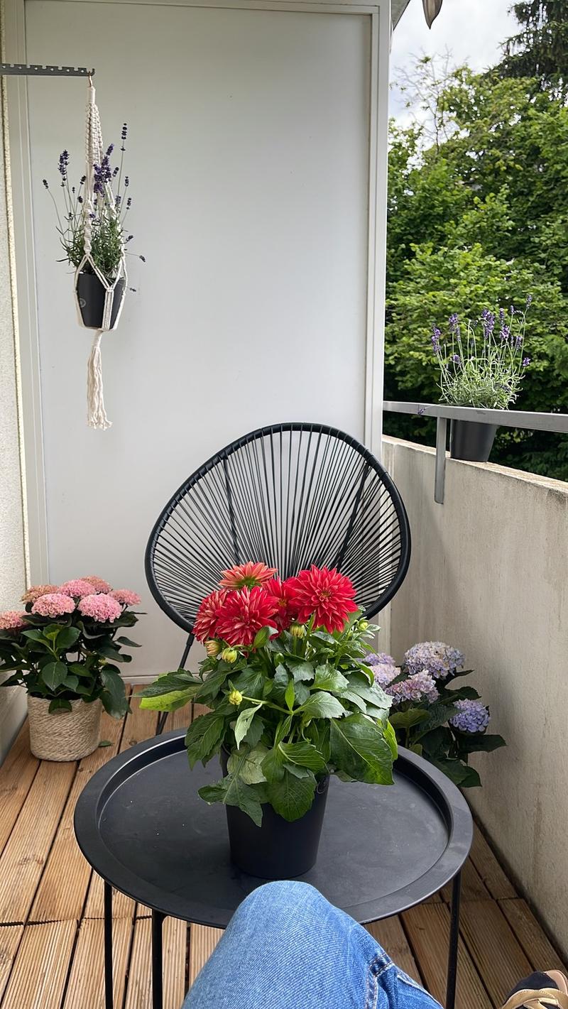 Helle, renovierte 1.5-Zimmer-Wohnung in Zürich-Affoltern (9)