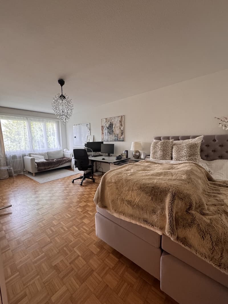 Helle, renovierte 1.5-Zimmer-Wohnung in Zürich-Affoltern (7)