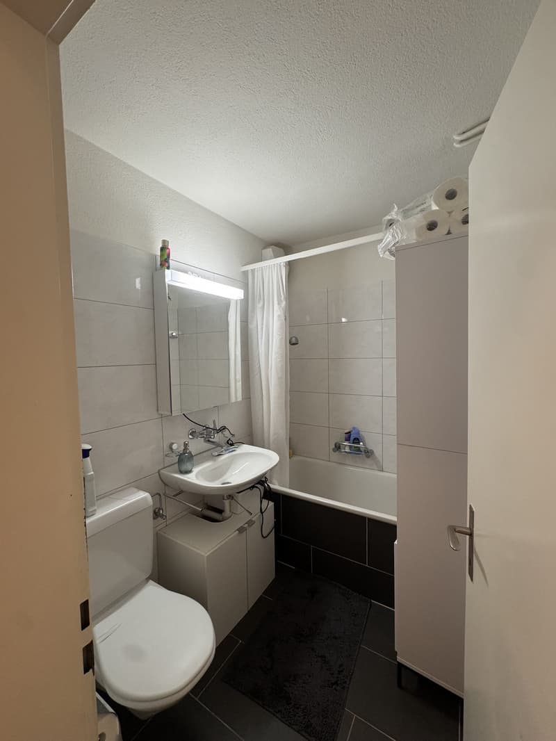 Helle, renovierte 1.5-Zimmer-Wohnung in Zürich-Affoltern (6)