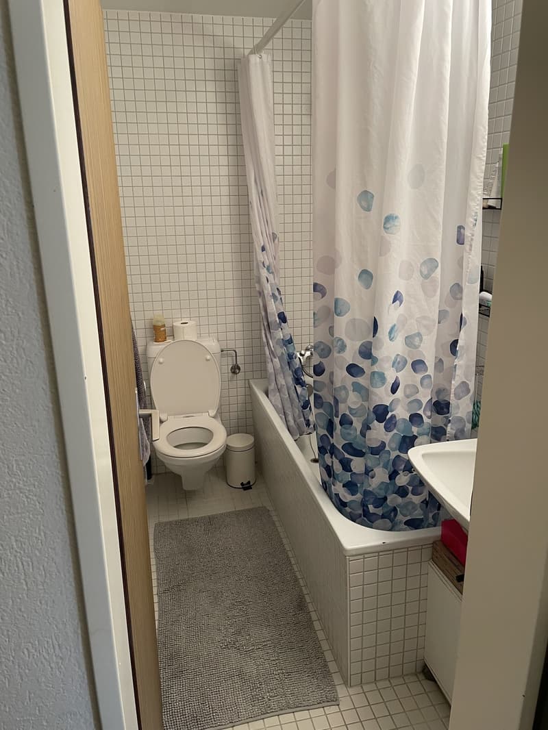 Bright 2.5-Room Apartment in Untersiggenthal with Garage (13)