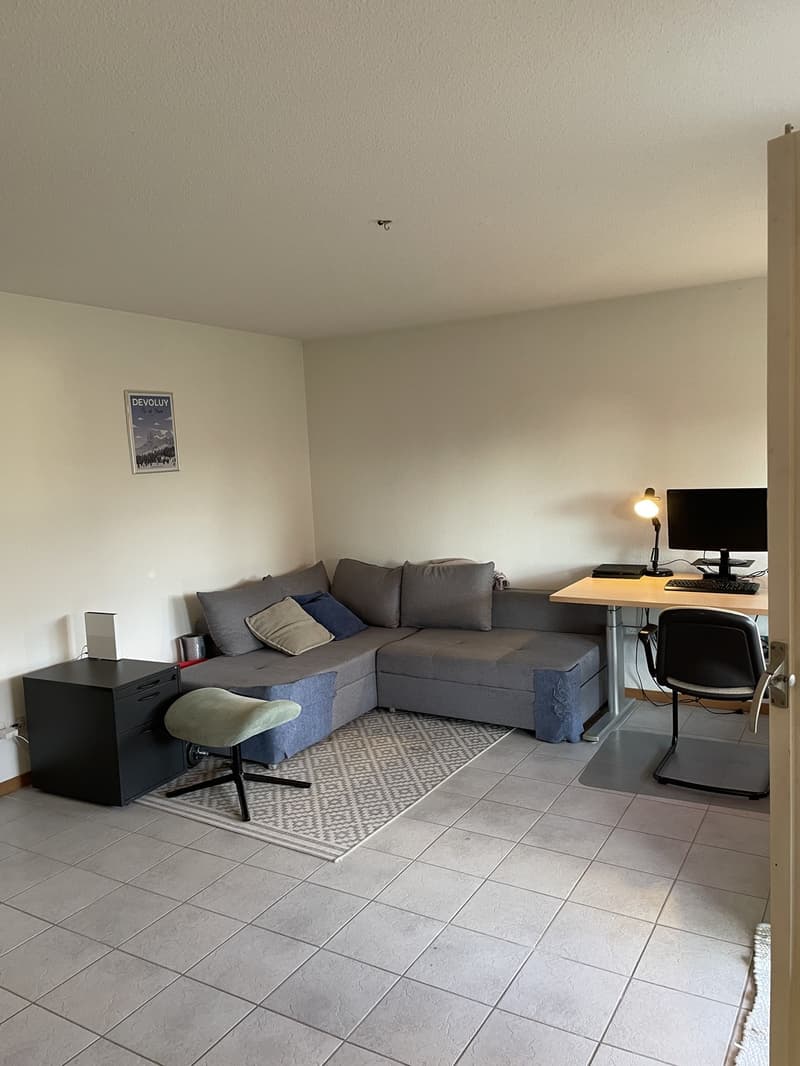 Bright 2.5-Room Apartment in Untersiggenthal with Garage (11)