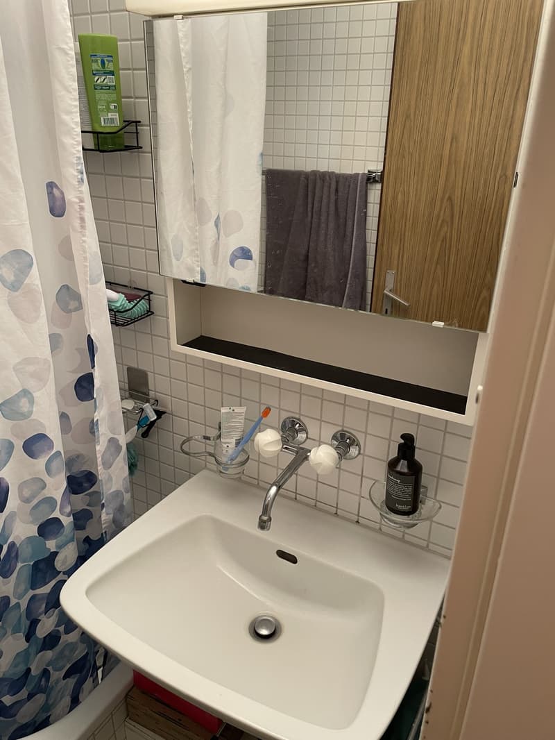 Bright 2.5-Room Apartment in Untersiggenthal with Garage (12)