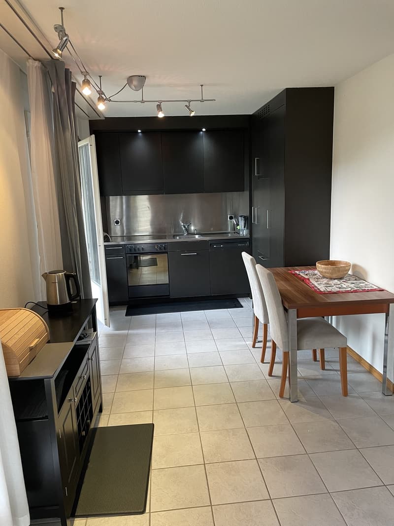 Bright 2.5-Room Apartment in Untersiggenthal with Garage (10)