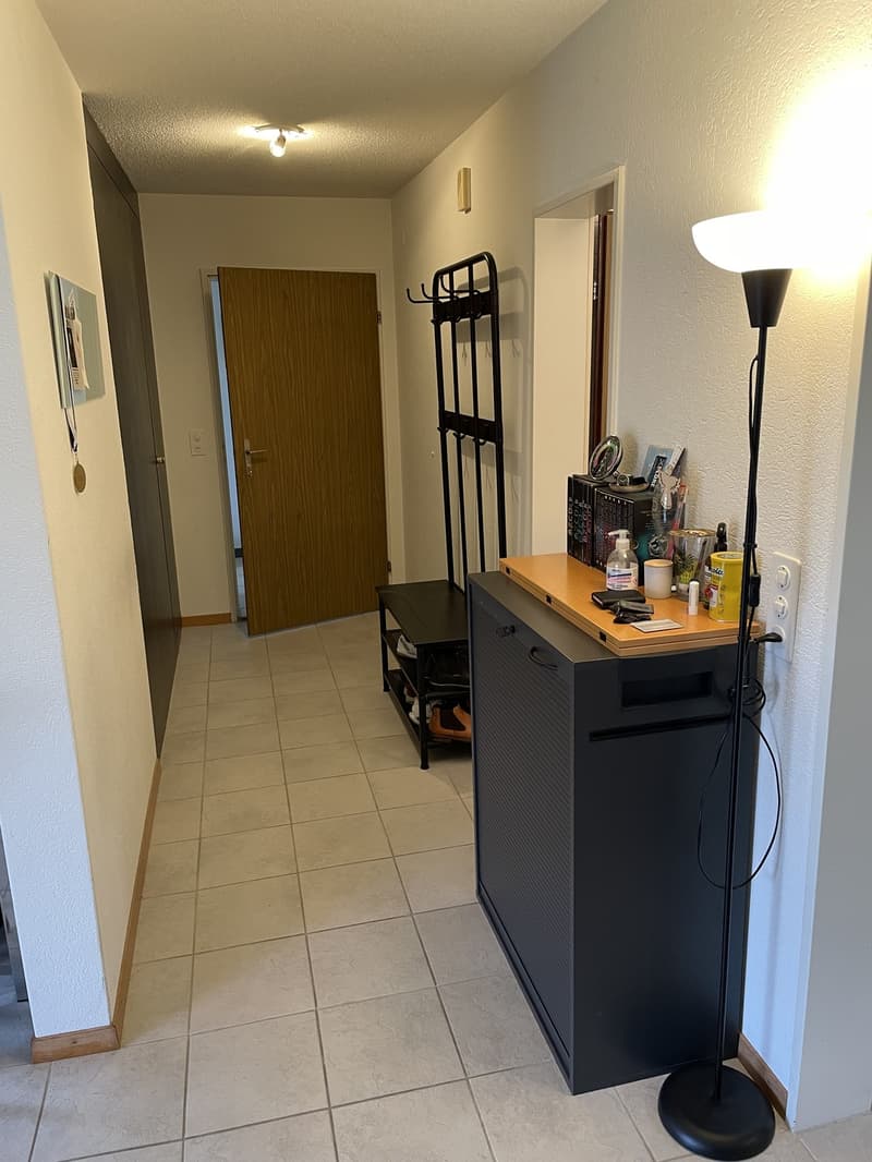 Bright 2.5-Room Apartment in Untersiggenthal with Garage (4)
