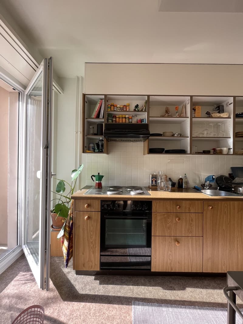 Gemütliche Wohnung (4)