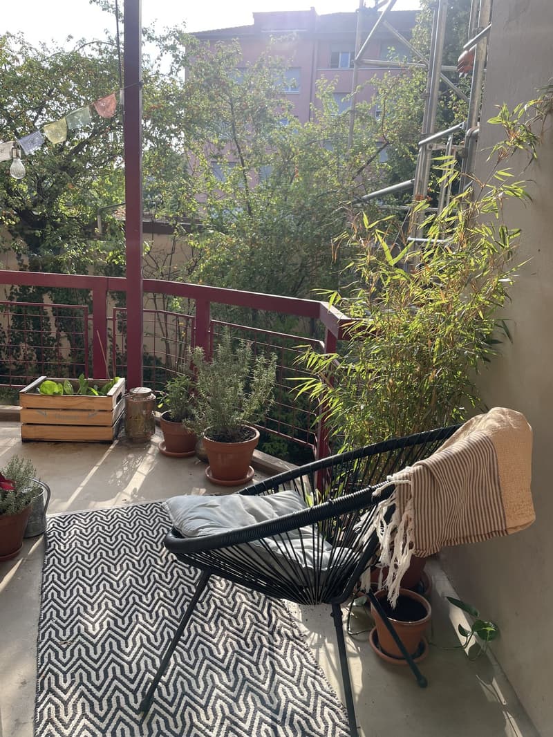 Gemütliche Wohnung (2)