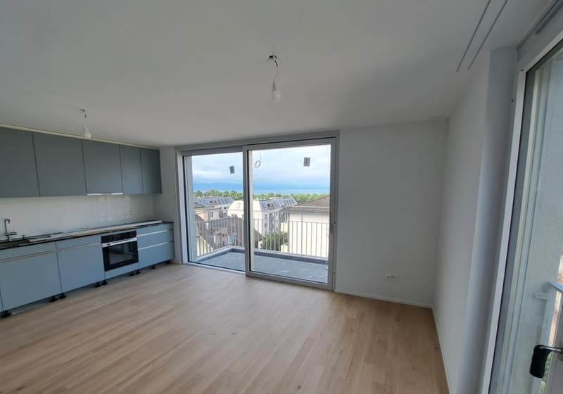 Modern apartment with lake & mountain view (1)