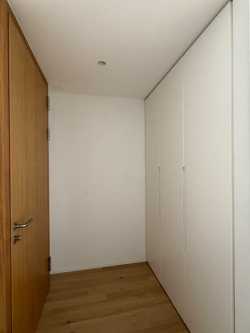 Modern apartment with lake & mountain view (4)