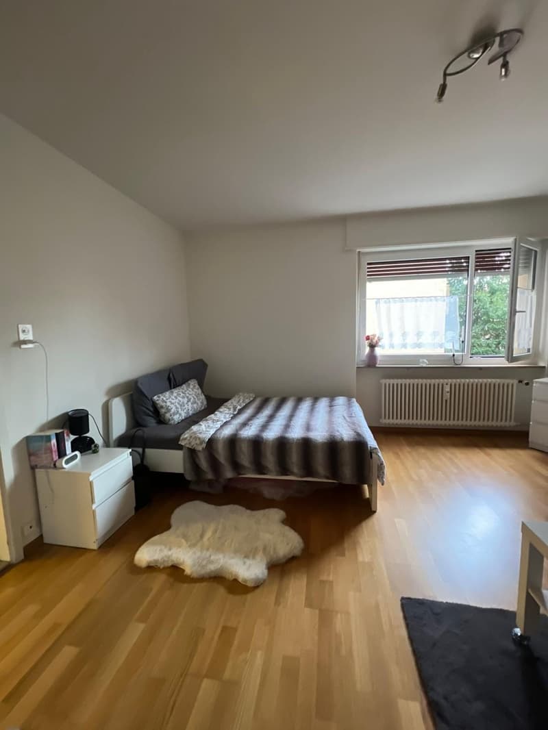1-Zimmer Wohnung zu vermieten in Uni Nähe (3)