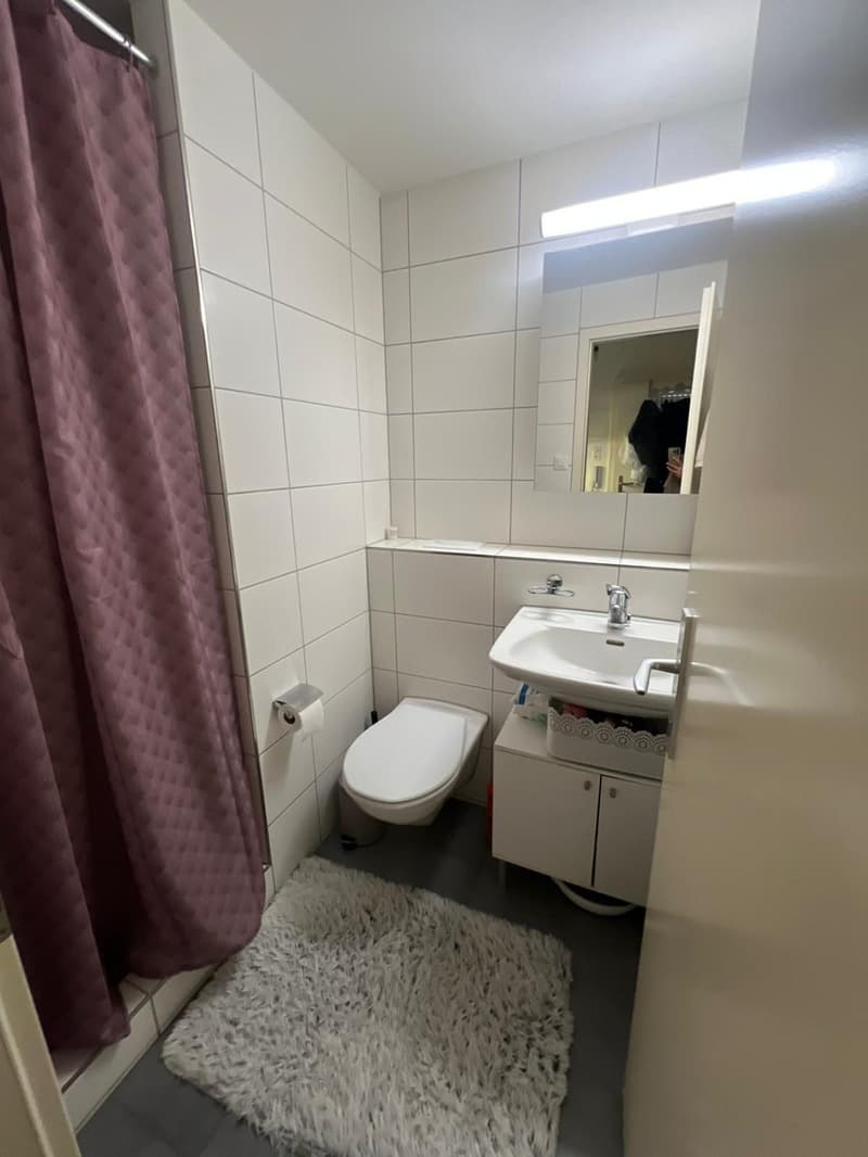 1-Zimmer Wohnung zu vermieten in Uni Nähe (5)