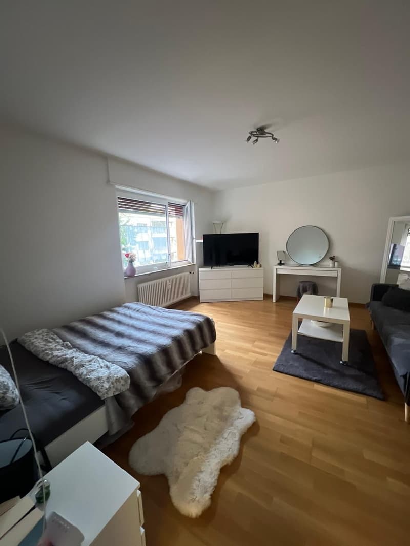 1-Zimmer Wohnung zu vermieten in Uni Nähe (6)