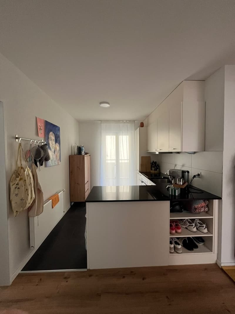 Nachmieter gesucht für 3.5 Zi.-Whg. in 8400 Winterthur (4)