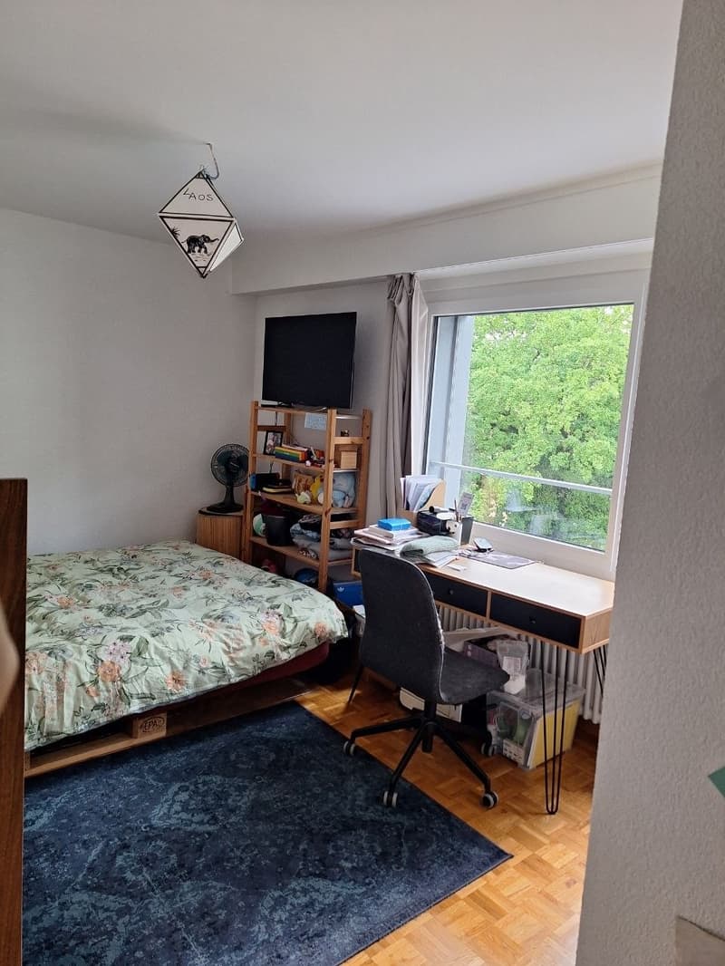 Appartement 5.5 pièces Montelly, reprise de bail (7)