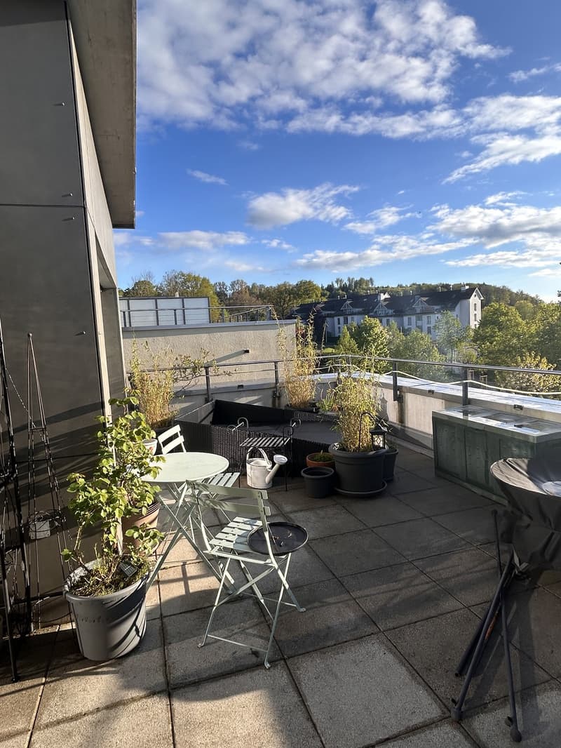 2.5 Zimmer Attika Wohnung (8)