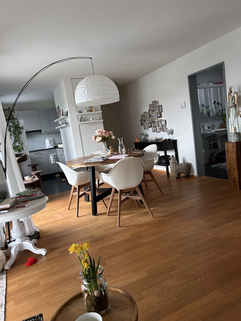 2.5 Zimmer Attika Wohnung (1)
