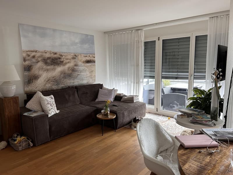 2.5 Zimmer Attika Wohnung (4)