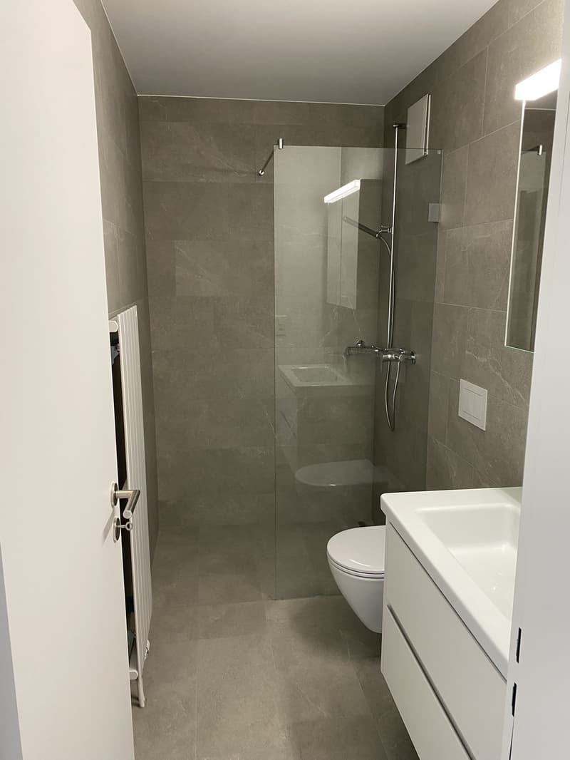 Nachmieter gesucht 3.5-Zimmer-Wohnung in Wädenswil (7)
